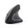 Gembird Ergonomiczna bezprzewodowa mysz optyczna z 6 przyciskami - 1351693 - zdjęcie